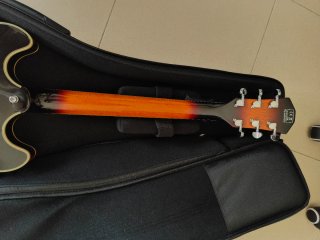 Guitarra Eléctrica Larry Carlton H7