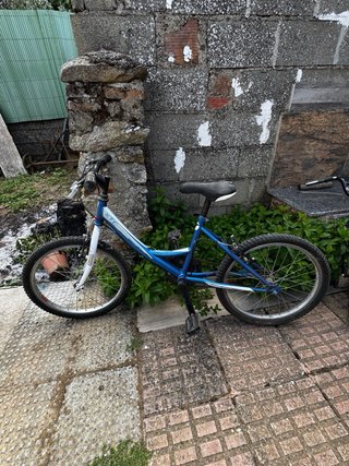 Bicicleta Infantil 20 Azul