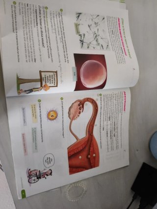 Ciencias de la Naturaleza, 6 Primaria, Castilla...