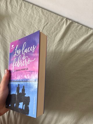 Las luces de febrero (Meses a tu lado 4)