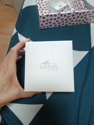 Conjunto Lotus Pendientes y Gargantilla Plata