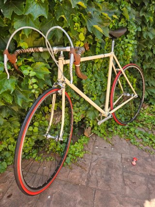 Bicicleta Vintage