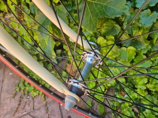 Bicicleta Vintage