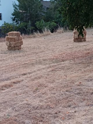 Están en el pueblo de Sartajada ( Toledo) más inf