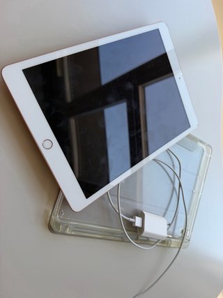 iPad 7ª Gen Rose Gold
