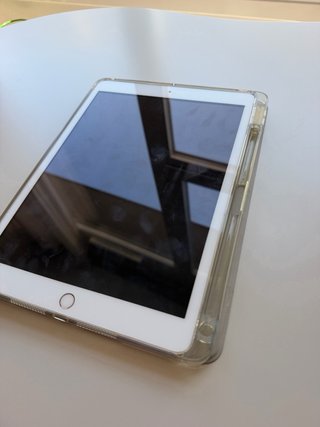 iPad 7ª Gen Rose Gold
