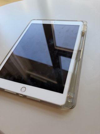 iPad 7ª Gen Rose Gold