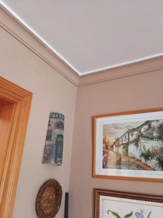 Pintor económico