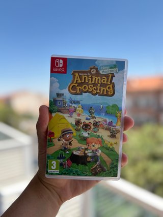 Animal Crossing: New Horizons Nintendo Switch