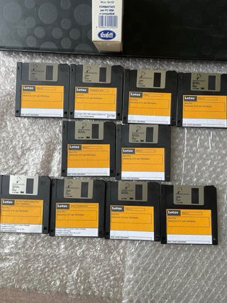 Lotto Ami Pro 3.01 per Windows 10 Floppy