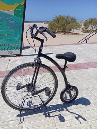 Bicicleta artesanal única
