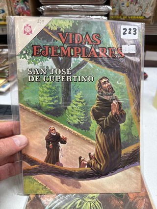 Vidas Ejemplares Lote 10 Números (Lote 62)