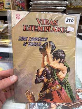 Vidas Ejemplares Lote 10 Números (Lote 62)