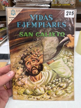 Vidas Ejemplares Lote 10 Números (Lote 62)
