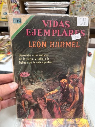 Vidas Ejemplares Lote 10 Números (Lote 63)