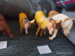 Lote animales de granja y gatos