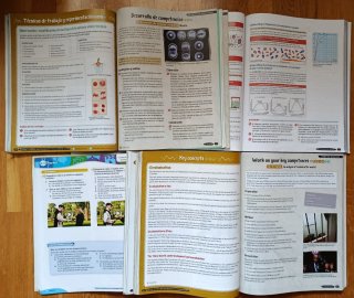 Pack de libros de texto 4° ESO. Nuevos