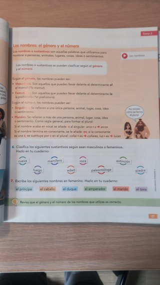 Lengua Castellana y Literatura 4 Primaria.