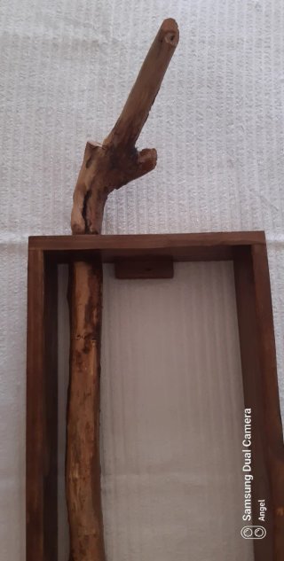 Estantería rústica rama árbol madera
