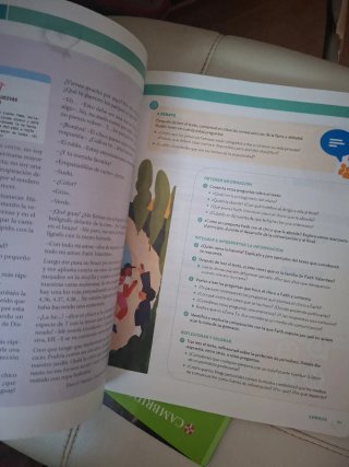 Lengua castellana y Literatura Proyecto Constru...