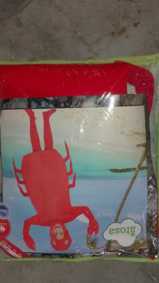 Disfraz de cangrejo para niño