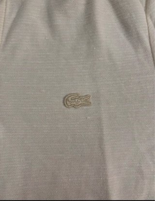 Pack 3 Camisetas Tommy Jeans y un polo LaCoste