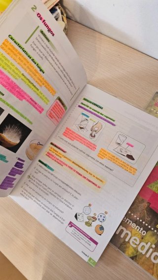 Coñecemento do medio, 4 Primaria Proxecto Conec...