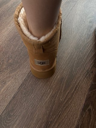 Botas Mujer Beige/Marrón Invierno
