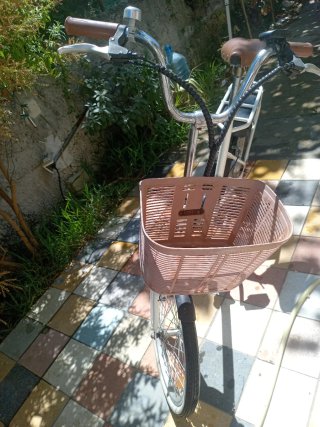 Bicicletta elettrica Nilox