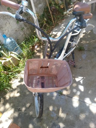 Bicicletta elettrica Nilox
