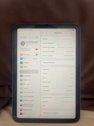 iPad mini 6 256 GB Wi-Fi