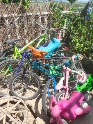 Lote de bicicletas infantiles