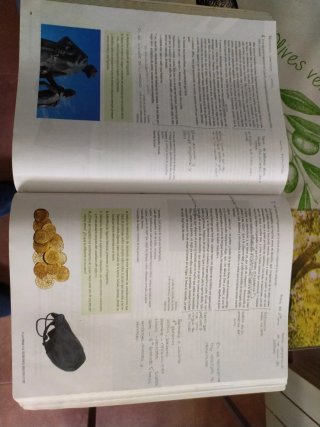Lengua castellana y literatura 1 Bachillerato