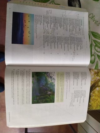 Lengua castellana y literatura 1 Bachillerato