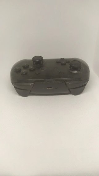 Nintendo Switch Pro Controller