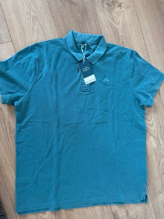 Polo Scotta Verde/Azul Petróleo