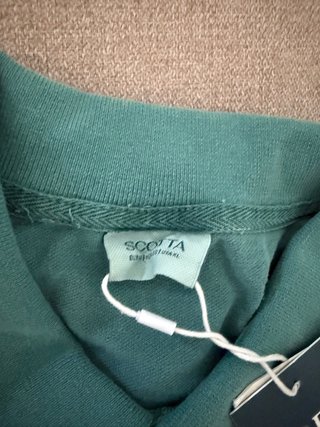 Polo Scotta Verde/Azul Petróleo