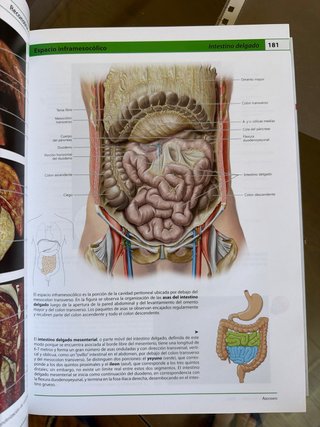 Anatomía humana atlas