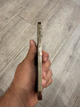 iPhone 12 Pro Max Oro