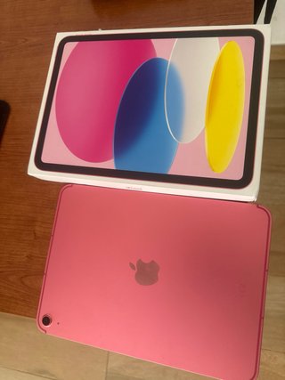 iPad A16 512 GB Wi-Fi + Cellular Rosa