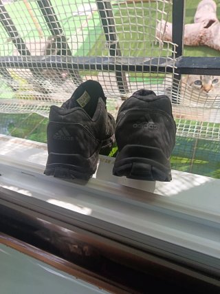 Zapatillas Adidas Negras Talla 38