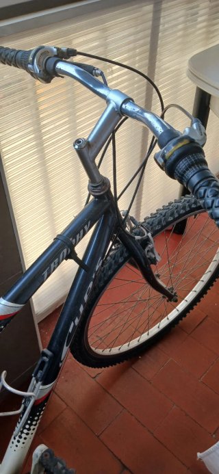 Bicicleta