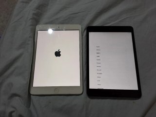 2 iPad Mini per parti (Bianco e Nero)