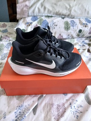OFERTA Zapatillas NIKE Pegasus 41