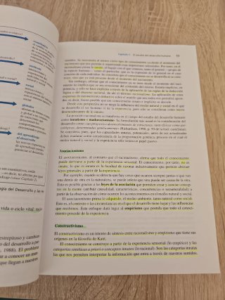 El desarrollo psicológico a lo largo de la vida