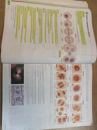 Bioloxía e Xeoloxía, 4 Secundaria, Revoa