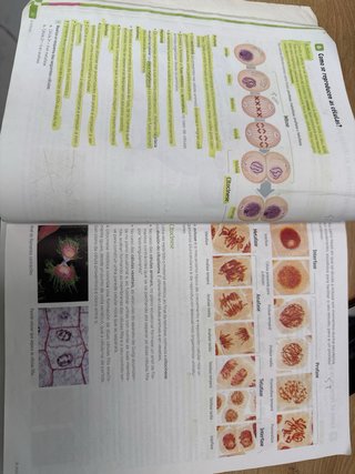Bioloxía e Xeoloxía, 4 Secundaria, Revoa