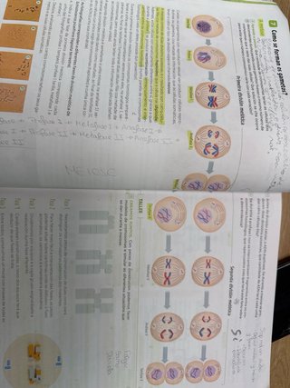 Bioloxía e Xeoloxía, 4 Secundaria, Revoa