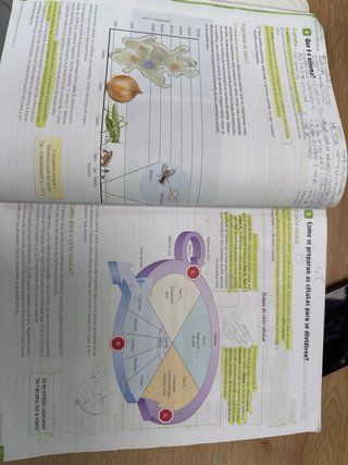 Bioloxía e Xeoloxía, 4 Secundaria, Revoa
