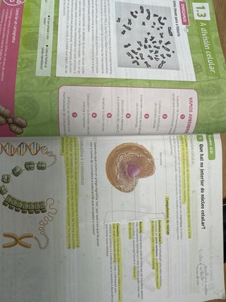 Bioloxía e Xeoloxía, 4 Secundaria, Revoa